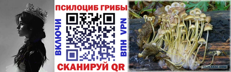 мега маркетплейс  Елизаветинская  Псилоцибиновые грибы Magic Shrooms  купить  